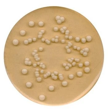 Imagem de referência de AGAR BATATA DEXTROSE P/ MICROBIOLOGIA 110130 – 500G