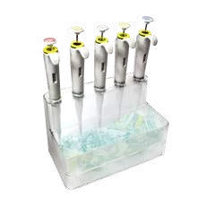 Imagem de referência de SUPORTE P/ 5 MICROPIPETAS BASIC K1-STAND-B